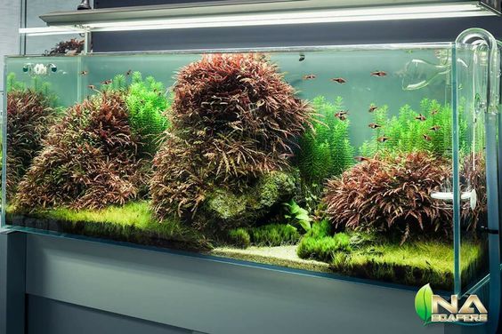 Интересная композиция