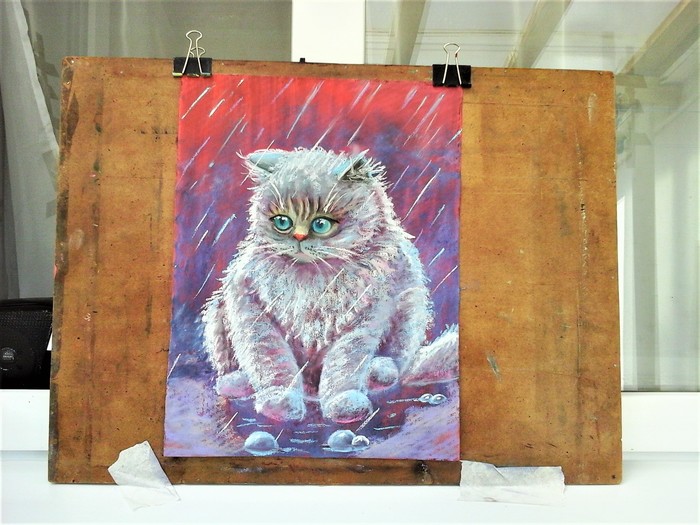 Under rain - My, Dry pastel, Graphics, cat, Rain, Animals, Painting, Pastel