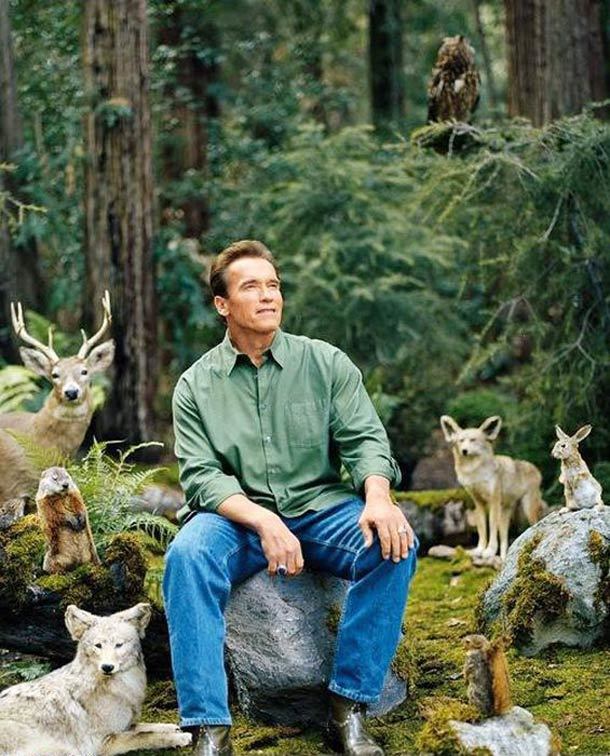 Me when I turn off the water while brushing my teeth - Arnold Schwarzenegger, Forest, Ecology