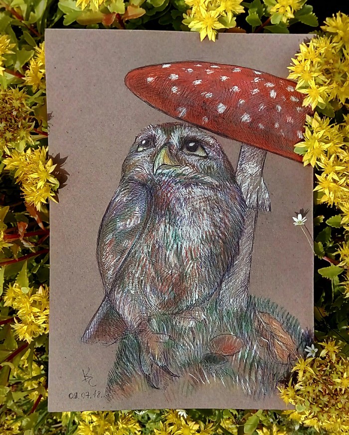 Owl - My, Owl, Drawing, Creation, Animals, Birds, Milota, Animalistics, Watercolor pencils