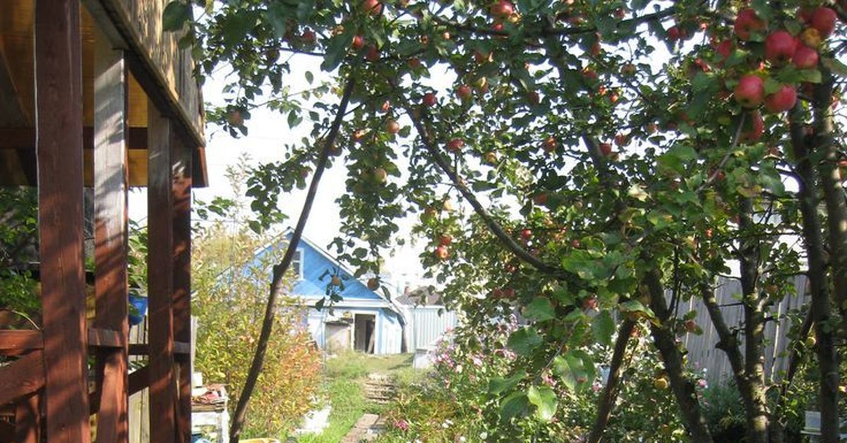 Тропинка | Пикабу