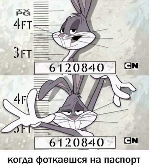 Life - Bugs Bunny, The passport