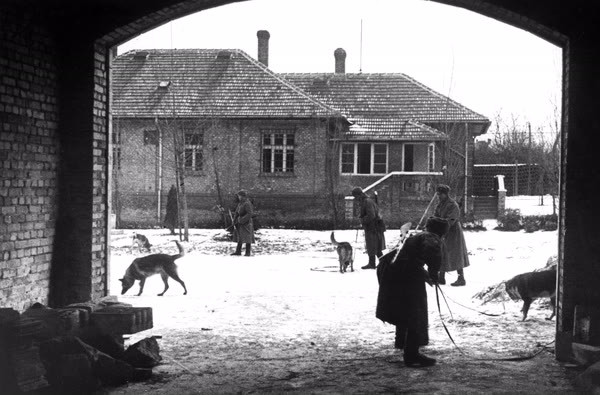 Photo chronicle of victory. - The Great Patriotic War, To be remembered, , Longpost, Liberation