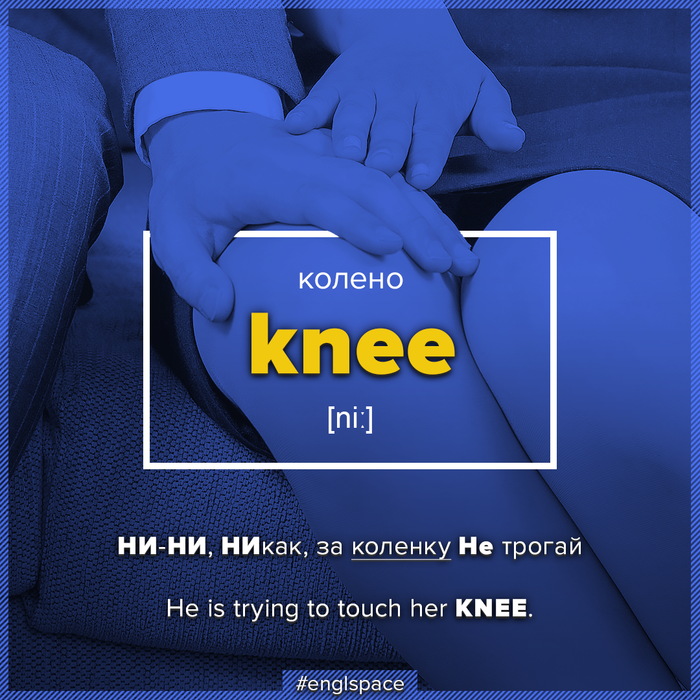 Knee -   ,  ,  ,    ,  