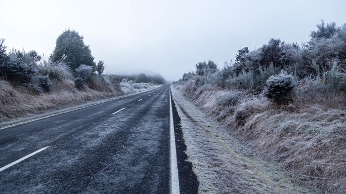 New Zealand. - My, The photo, New Zealand, Frost, Winter, Fog, Morning