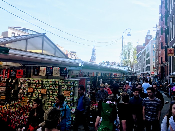 Цветочный рынок (Bloemenmarkt) в Амстердаме Амстердам, Нидерланды, Тюльпаны, Луковицы, Цветы, Рынок, Bloemenmarkt, Цветочный рынок, длиннопост