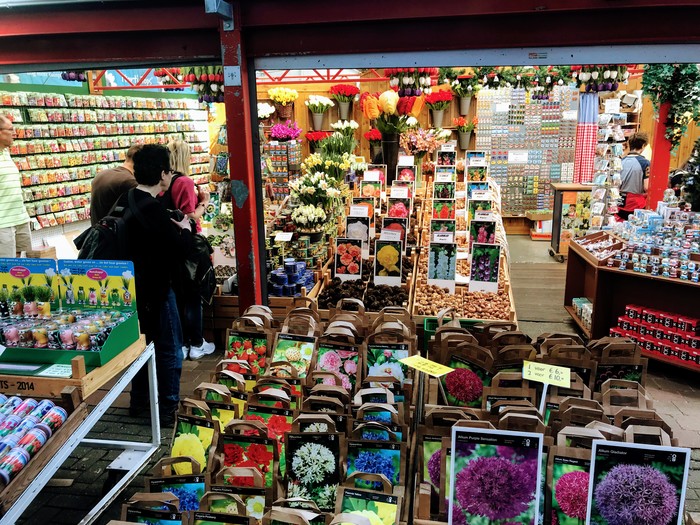 Цветочный рынок (Bloemenmarkt) в Амстердаме Амстердам, Нидерланды, Тюльпаны, Луковицы, Цветы, Рынок, Bloemenmarkt, Цветочный рынок, длиннопост