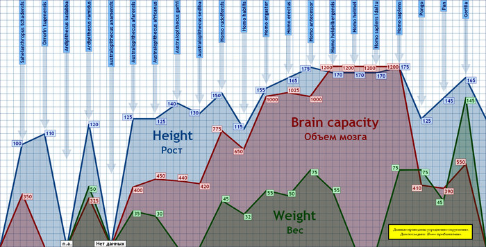 Homo Pedigree: Height-Weight-Brain Size Diagram - My, Human Origins, Homo sapiens, Evolution, Infographics, Diagram, Hominids