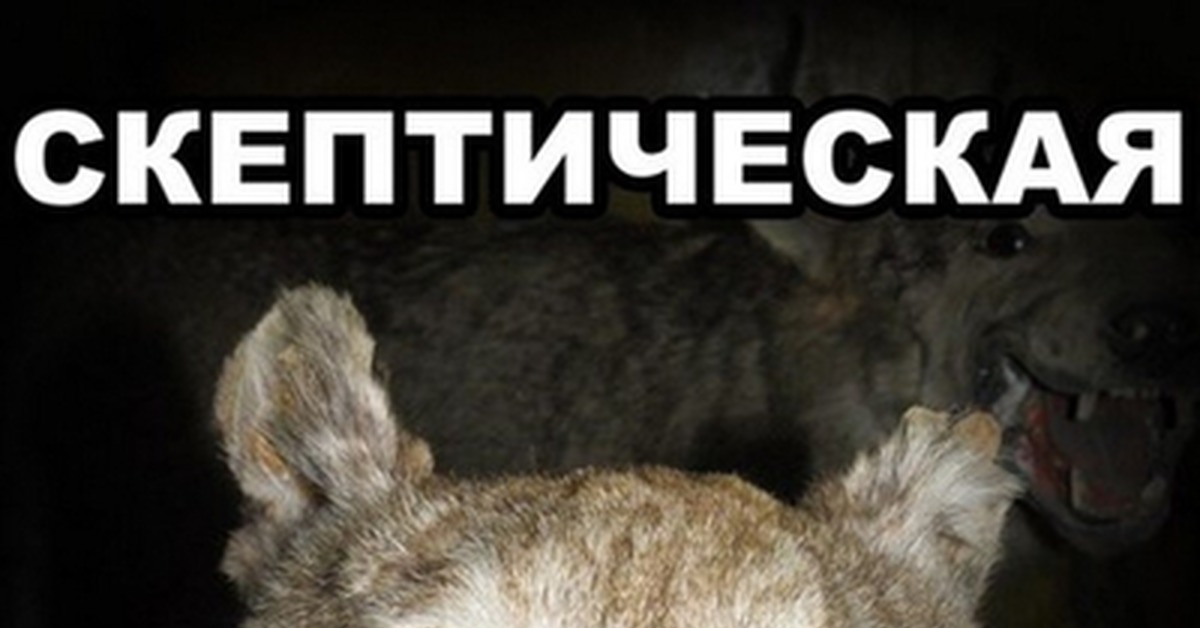 Разочарованная Рысь Мем