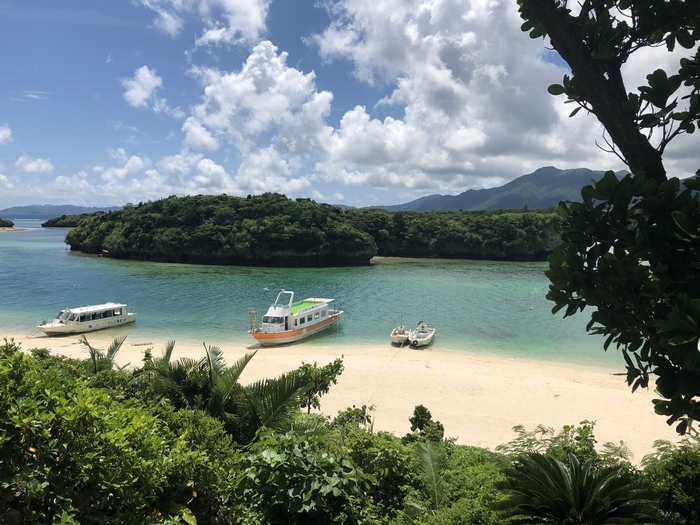 On the banks of the Ishigaki - My, Japan, Okinawa, Longpost