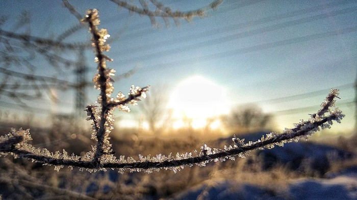 Cool down comrades! - My, Winter, Frost, Cold, freezing, Longpost