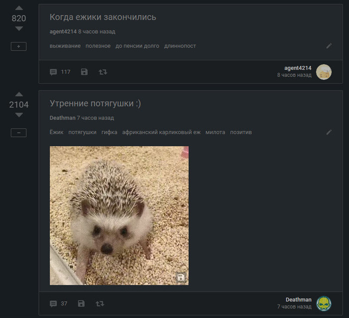 Смешное совпадение - Юмор, Скриншот, Совпадение постов, Ёжик