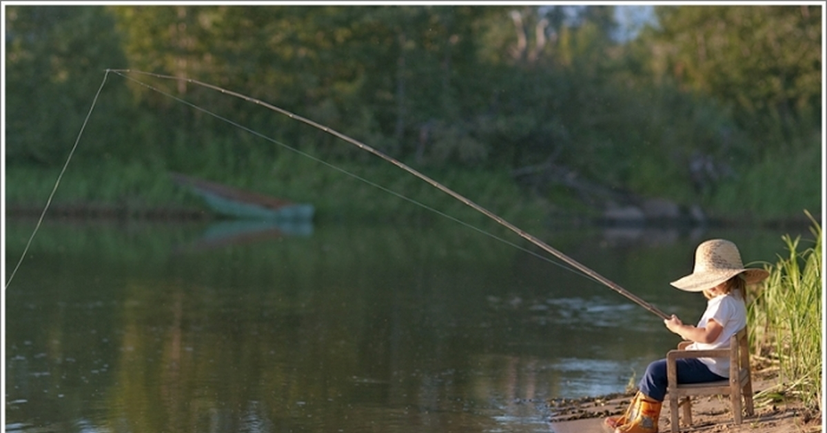Фото удочек на рыбалке летом