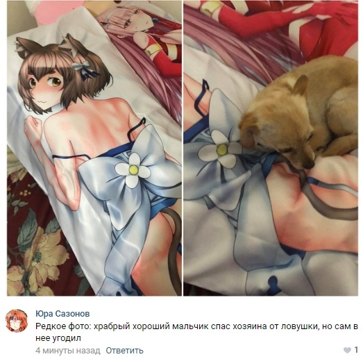 C - self-sacrifice - Dakimakura, Memes, Felix argyle, Re: Zero Kara, Its a trap!, Trapom