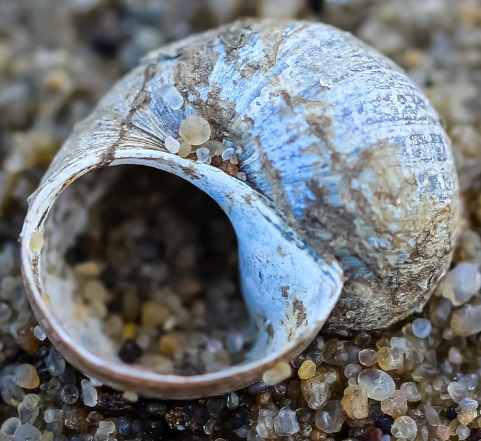 Мир под ногами фотография, длиннопост, Природа