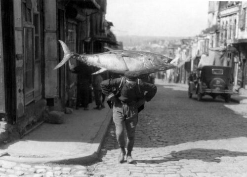 Доставка тунца, Турция, 1933. - Турция, Тунец