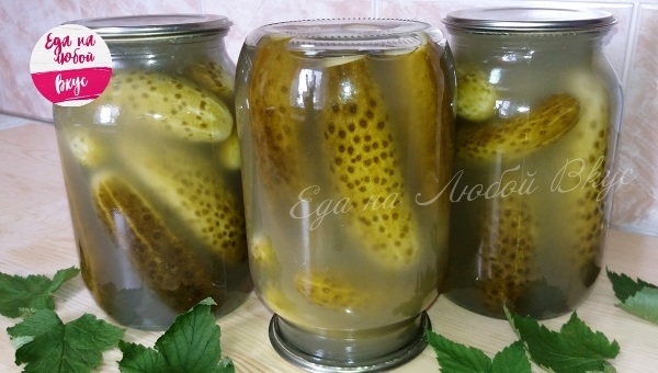 Salted cucumbers for the winter - My, Cucumbers, Salted cucumbers, Blanks, Snack, Video, Recipe, Yummy, Food