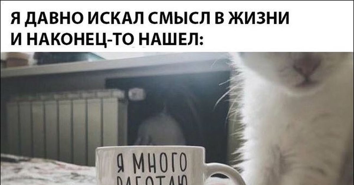 Вот и оказывается у него. Вот и оказывается у него. С утра испортили настроение. Вот и оказывается у него. Открытки что делаешь прикольные.