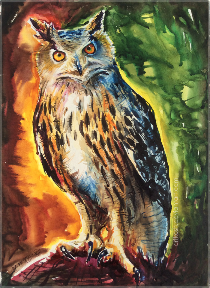 Filiniac watercolor - My, Artkosh, Watercolor, Painting, Birds, Owl, Owl, , 