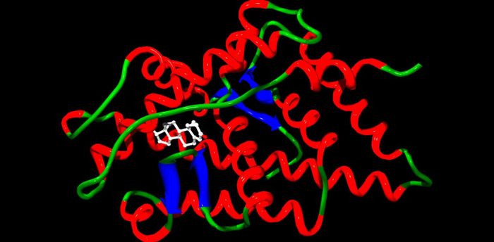 Tumor organelles - a testing ground for individual anti-cancer therapy - Crayfish, Organelles, , The medicine, Longpost