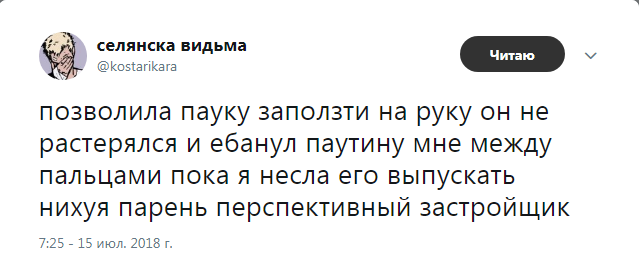 Самый перспективный застройщик - Twitter, Скриншот, Паук, Застройщик, Паутина