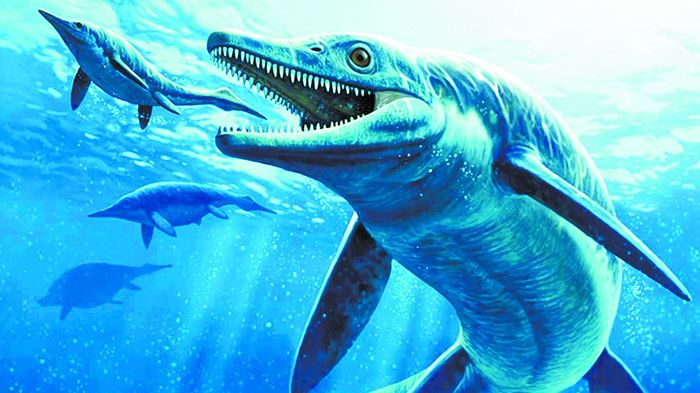 Ichthyosaurus - fish or lizard? - , Dinosaurs, Longpost