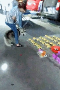  !