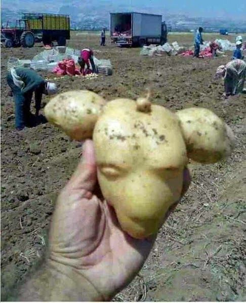 The Old Man is hiding something or Somewhere in Belarus ... - Potato, Aliens, Mystery