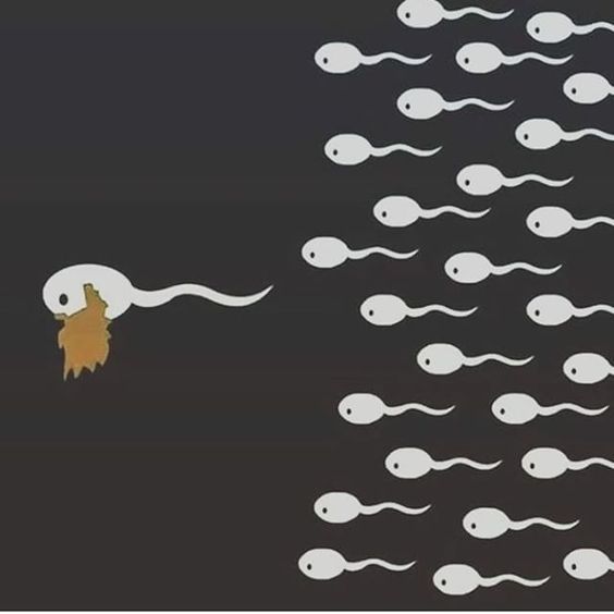 Бородища | Пикабу