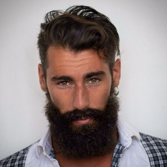 Бородища | Пикабу