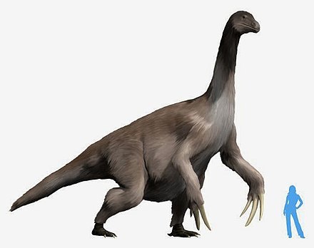 Who are Segnosaurids? - Dinosaurs, , Longpost