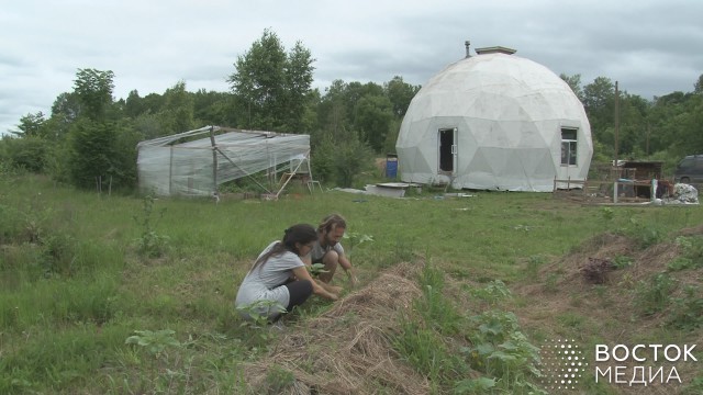 Khabarovsk farmer is suing Rosselkhoznadzor over his land - Farmer, Rosselkhoznadzor, Negative, Court, Longpost, Injustice