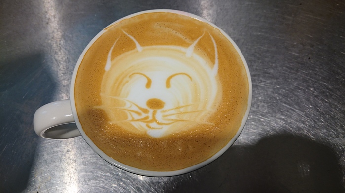 Cappuccino. Latte art, cat. - My, Latte art, Latte, Cappuccino, Coffee, cat