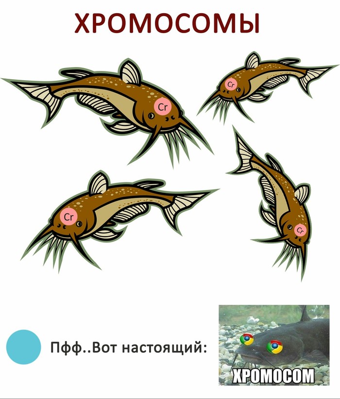  , , 