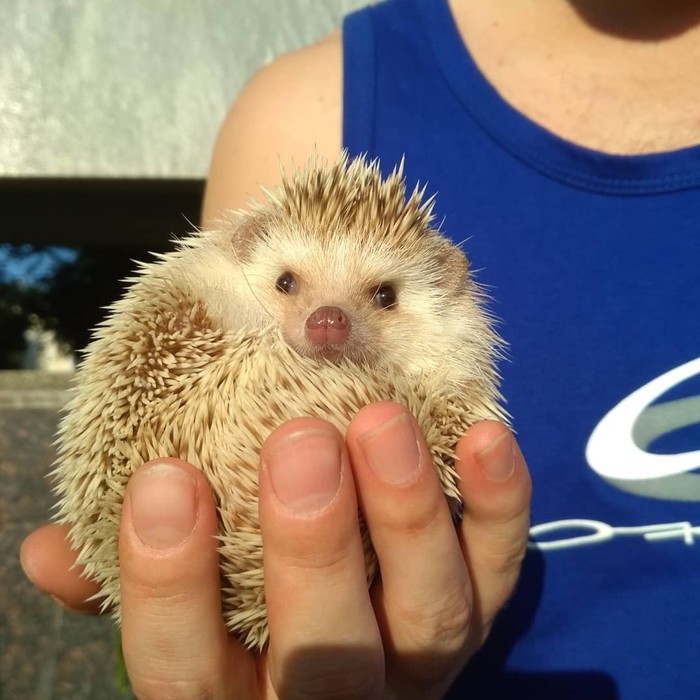 Чайный мир: Начало. Часть 2.