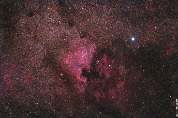 Nebulae North America and Pelican, July 13, 2018 - My, Astronomy, Astrophoto, Space, Nebula, Canon, Samyang, Starhunter, Supseh