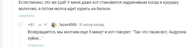 Vitally - Viktor Tsoi, cat, Screenshot, Comments on Peekaboo, Mat