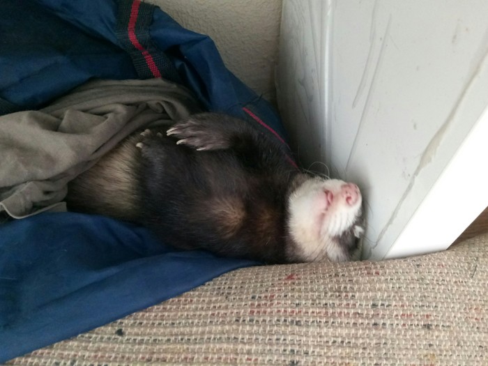 �������