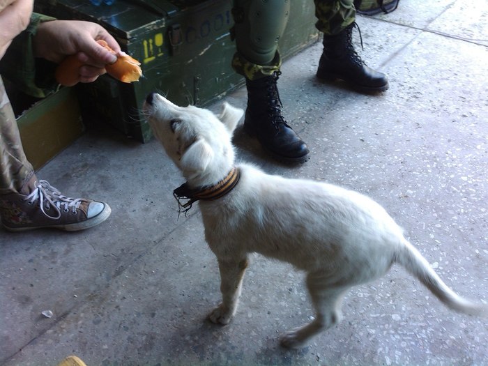 �������.