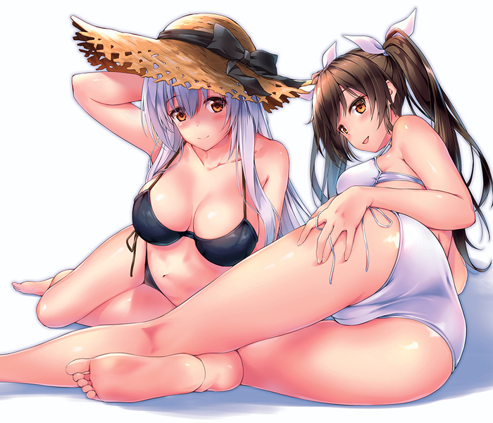 Cranes - NSFW, Kantai collection, Shoukaku, Zuikaku, Anime, Anime art, Swimsuit, Underwear