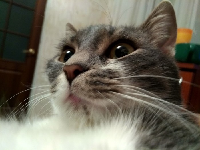 ����� �� ����.