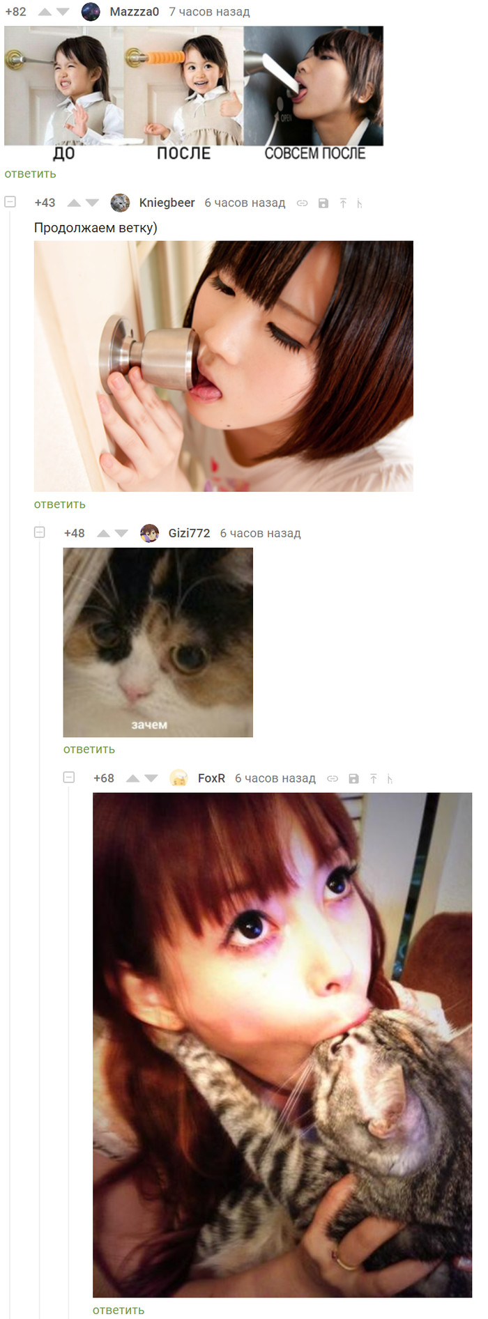 The cat has no more questions - Comments, Comments on Peekaboo, Screenshot, cat, Asian, Longpost