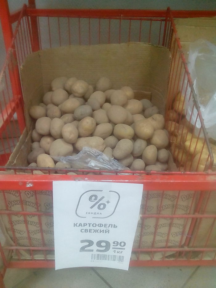 Не оштрафовал Магнит | Пикабу