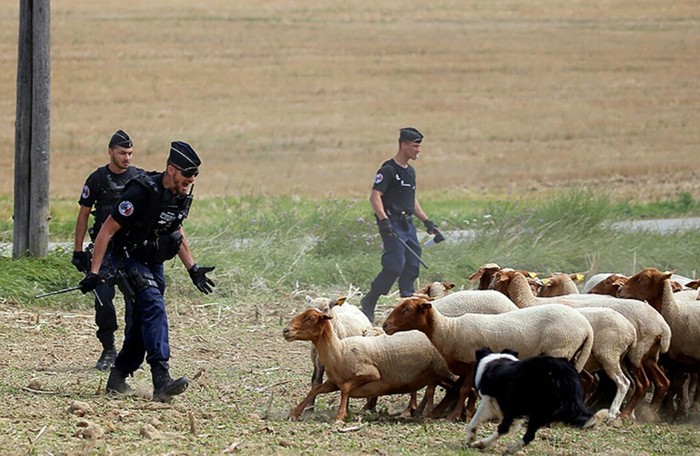 The French gendarmes who came to disperse the rally of farmers were in a bad mood) - France, Gendarme, Sportsru