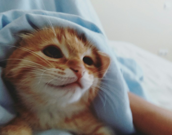 ��� ��������� ���.