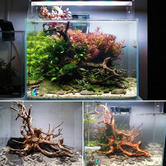 После запуска - 3 месяца