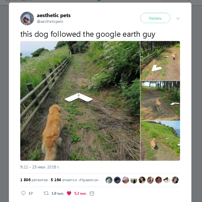 Хороший мальчик показал дорогу)