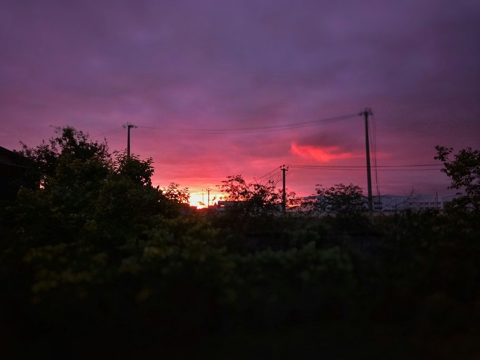 �������� �������� [5]