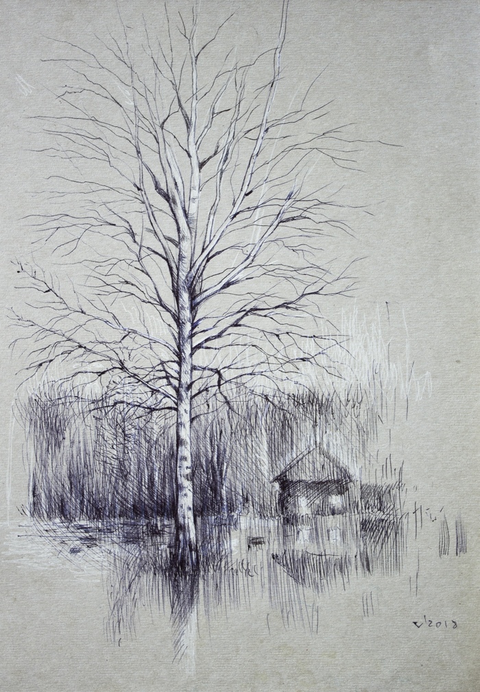 Birch - My, Graphics, Drawing, Tree, Pen drawing, Pen, Birch