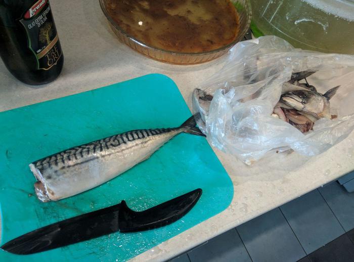 Рыба. Вкусно. Полезно. Недорого Рыба, Скумбрия, Без соли, Полезное, Длиннопост